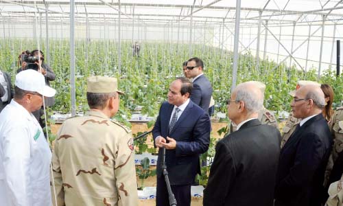 الاكتفـاء الـذاتى