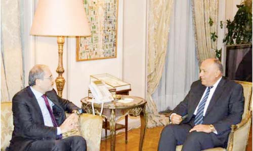 القضية الفلسطينية على مائدة شكرى ونظيره الأردنى