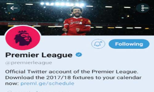 أســــد البريميرليج