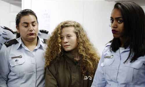 الاحتلال يتحرش بالأسيرة «عهد التميمى» أثناء التحقيق