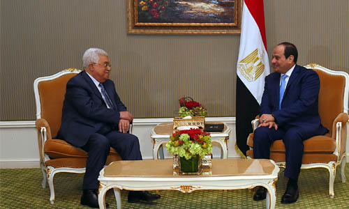 مصر مستمرة فى جهودها لاستعادة حقوق الشعب الفلسطينى