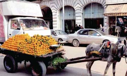 استبدال محطات «الكارو» بالمحال والمطاعم المتحركة