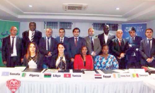 الاتحاد الإفريقى يتمنى حل أزمة «المينى فوتبول»