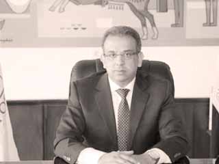 انفراد.. عودة «الصغير» رئيسا لهيئة البريد خلال ساعات