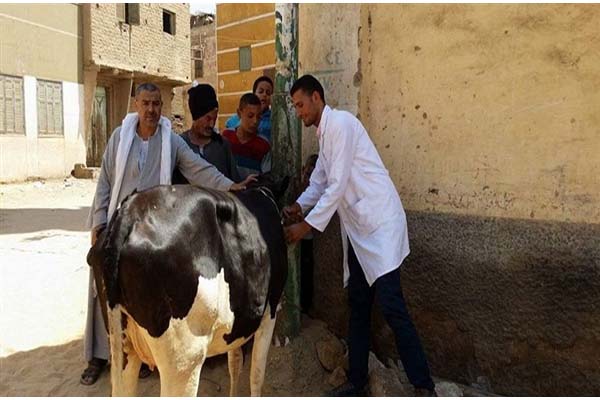 الدولة تحمى رزق الفلاحين