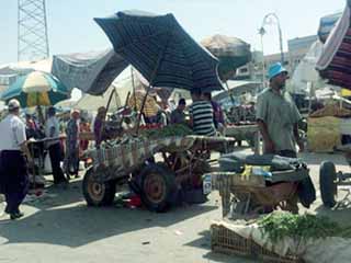 الإعــلام الدولـــــى فى زيارة ميدانية بسيناء: الجيش انتصر على الإرهاب.. والحياة عادت إلى أهل العريش
