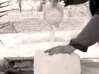 «كل نقطة بتفرق» مبادرة لترشيد استهلاك المياه بأسيوط