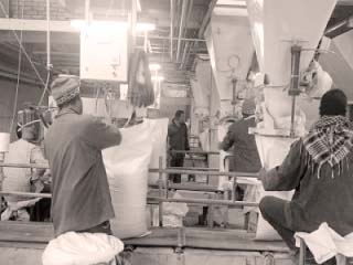 مصر تحقق فائضًا فى إنتاج السكر بـ 400 ألف طن لأول مرة بعد أزمة 2016