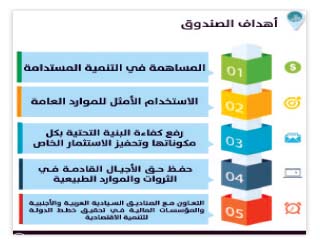 حق الأجيال القادمة.. مصر تدخل عالم «الصناديق السيادية»