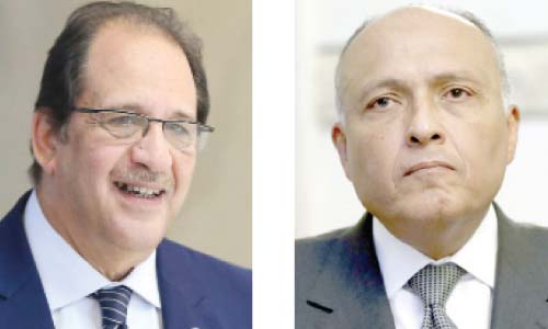 صندوق «البنية التحتية» والمشروعات التنموية على أجندة اللقاء