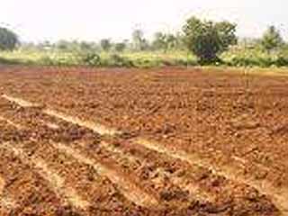 طرح 99 قطعة أرض زراعية للبيع فى 5 محافظات