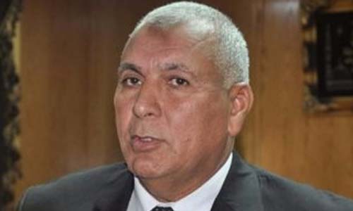 الوادى الجديد توفير 3300 فرصة عمل للشباب