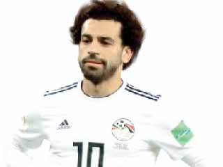 5 مواقف إنسانية فى حياة «المو»