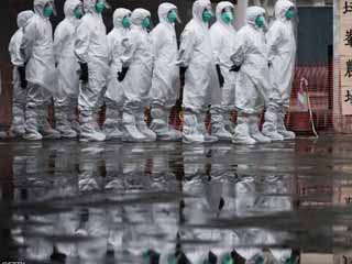 حمى الخنازير الإفريقية تتفشى فى إقليم جديد بالصين