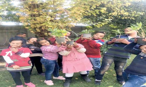 بالرسم والزراعة..  100 طفل من ذوى القدرات الخاصة يحتفلون بيومهم العالمى