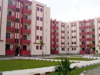 مقررة مجلس حقوق الإنسان.. «كدابة»