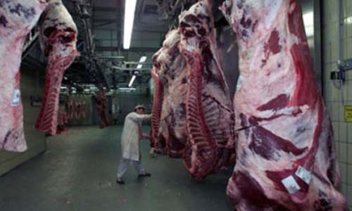 %35 تراجعا فى أسعار اللحوم بـ«الفيوم»