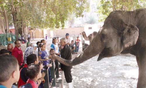 حدائق «الزراعة» تتجمل لاستقبال زائريها