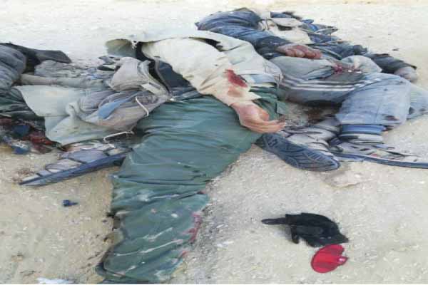 مصر مقبرة الإرهاب