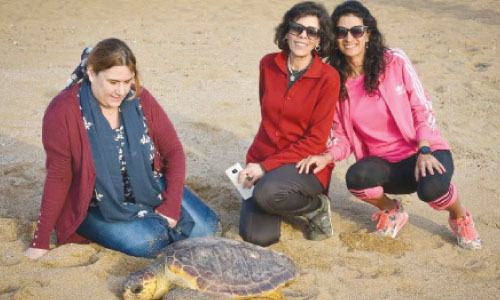 عاشقة الحيوانات البرية  «مى».. إسكندرانية كونت فريق إنقاذ تطوعى