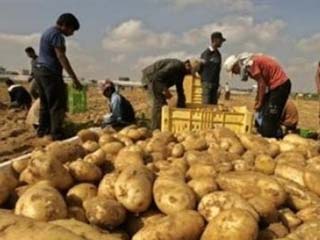 «تنمية الصادرات» يوافق على الإطار الاستراتيجى لرد الأعباء التصديرية