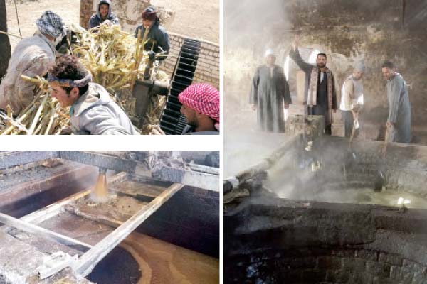 العود عسل للموعود