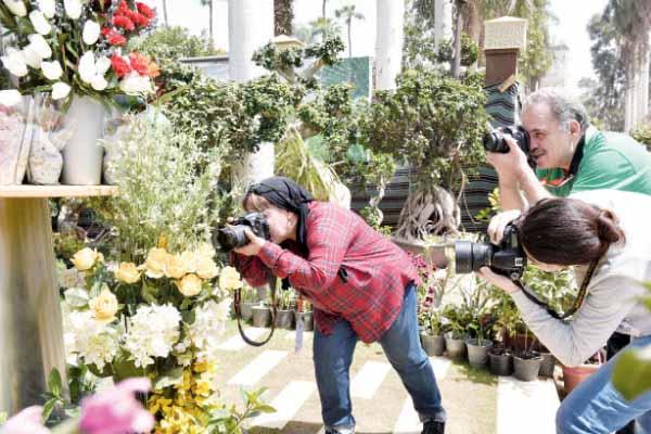 24 مصورا يتنافسون على التقاط أفضل الصور بمعرض زهور الربيع