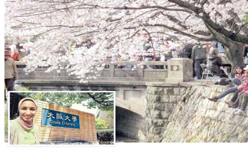 ساكورا ساكورا..  الدنيا ربيع على الطريقة اليابانية