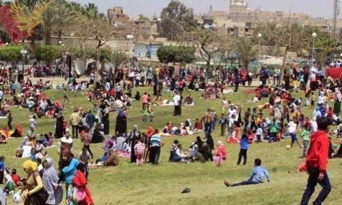 3 وزارات خدمية تنجح فى اختبار «شم النسيم»