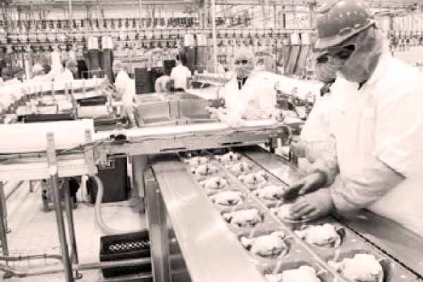 «سلامة الغذاء» و«المواصفات والجودة» يحاصران السلع الغذائية الفاسدة بالأسواق