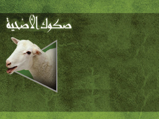 المصريون يقبلون على شراء صكوك أضاحى «الأوقاف»