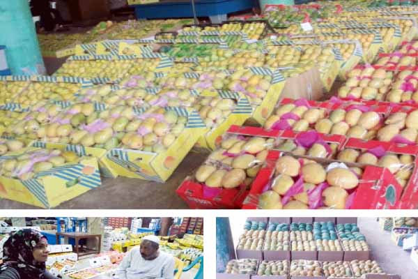 العويس والفص فى مواجهة الكيت والنعومى