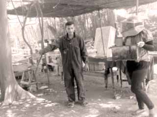 «منحلجى» حارس على الملكات