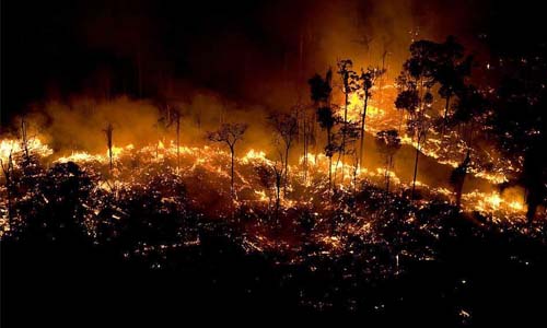 اشتـعـال غـابــــات الأمــــازون رئة الأرض تحترق