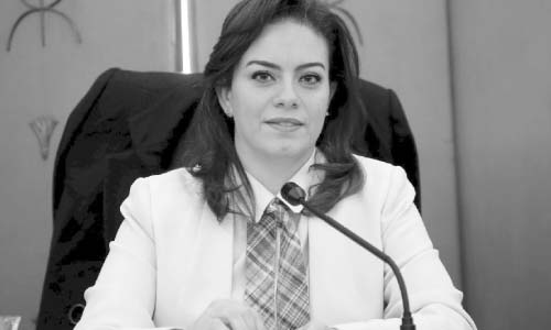 أعضاء «الخطة والموازنة» يجتمعون مع ممثلى صندوق النقد الدولى بالولايات المتحدة الأمريكية