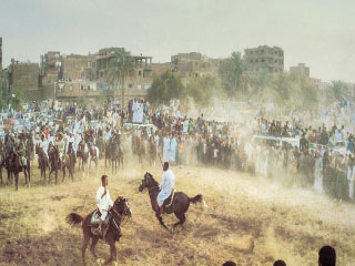 «سلاطين الإنشاد» فى مدح الرسول