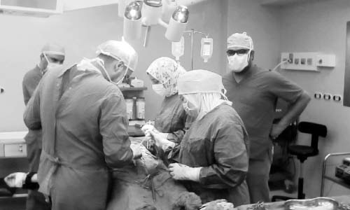 %98 نسبة رضاء المواطنين عن الخدمة الطبية بمنظومة التأمين الصحى الشامل