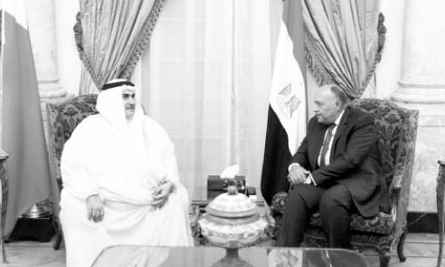 شكرى يؤكد حق السوريين فى مقاومة العدوان التركى