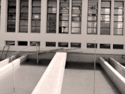 نقطة مياه = حياة