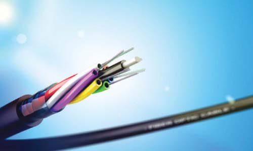 مليارات جنيه لرقمنة  32 ألف جهة حكومية