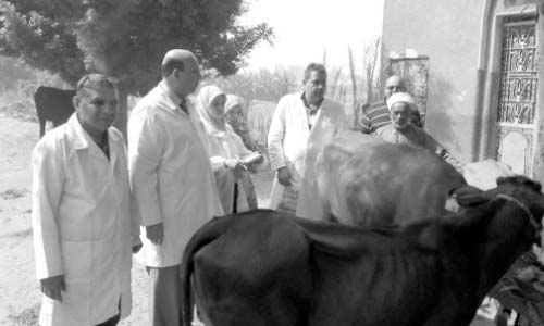 استعدادات بيطرية للحفاظ على الثروة الحيوانية