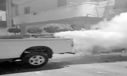 جهود حكومية مكثفة لمكافحة الذبابة المنزلية