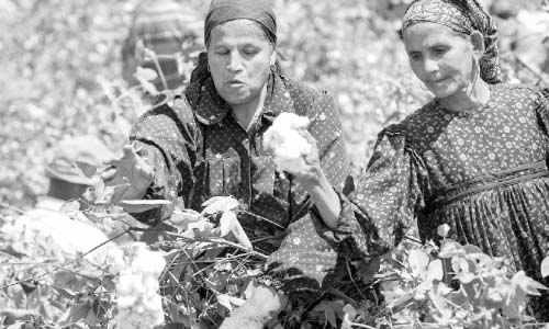 الذهب الأبيض يستعيد بريقه