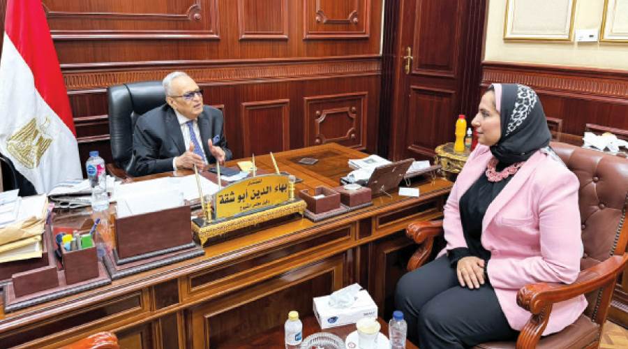 محررة «روزاليوسف» أثناء الحوار مع المستشار بهاء