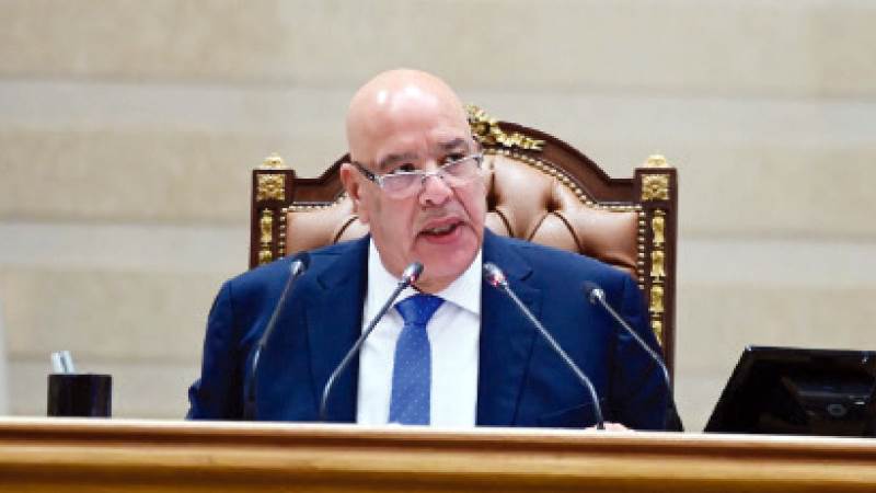 المستشار هشام بدوى