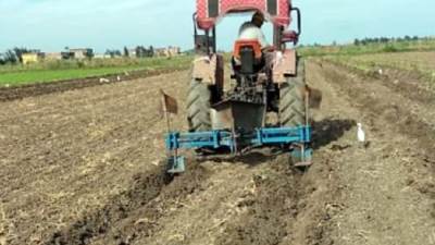 المنيا.. زراعة المصاطب تحقق طفرة فى الإنتاج