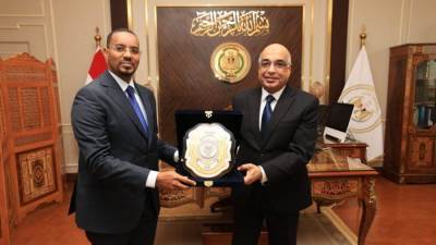 حكومة مقديشيو تستعين بالخبرات المصرية لاستكمال صياغة الدستور وتدريب الكوادر القضائية