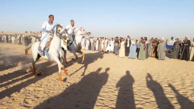 مرماح «بنبان».. 100 حصان عربى تتنافس على أرض أسوان