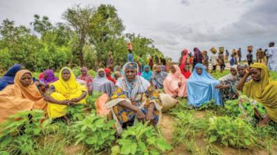 خريطة طريق لدعم الزراعة فى إفريقيا