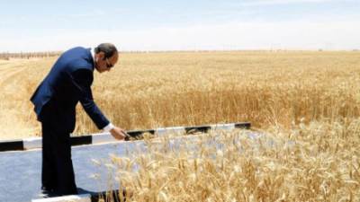 قطاع الزراعة.. أرقام قياسية وخطط تنموية فى 2025